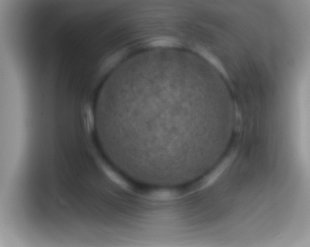 X0000113860061200910011029