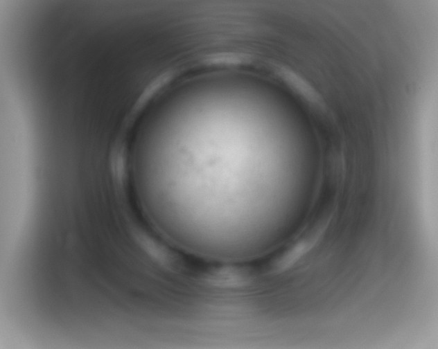 X0000113860064200910011029