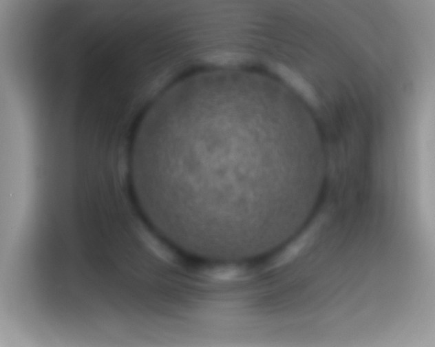 X0000113860065200910011029