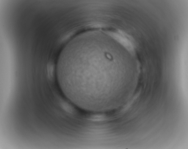 X0000113860066200910011029
