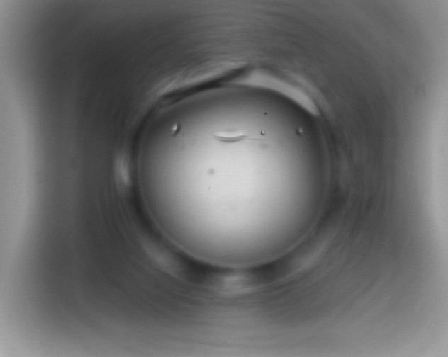 X0000113860068200910011029