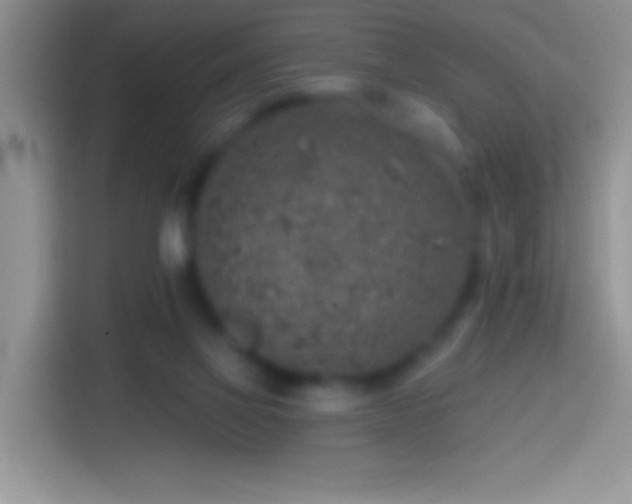 X0000113860069200910011029