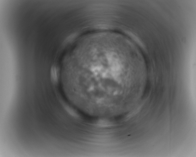X0000113860070200910011029