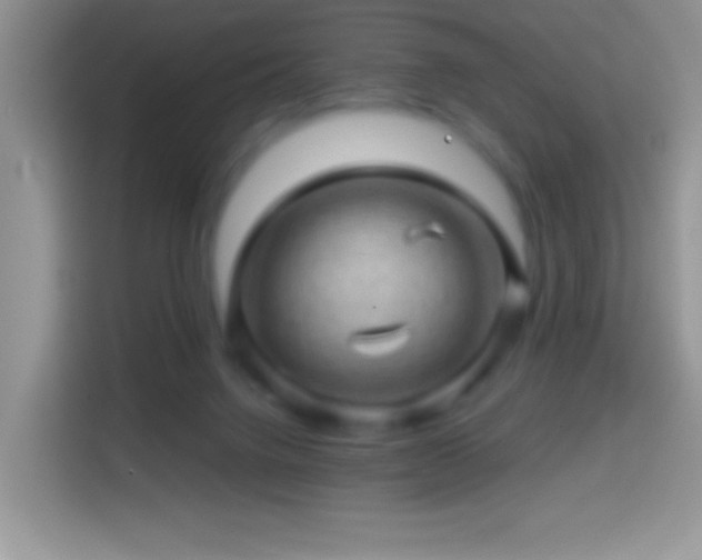 X0000113860072200910011030