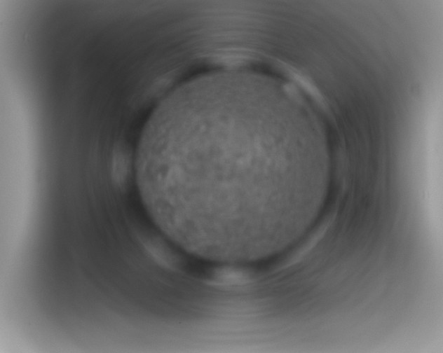 X0000113860073200910011030