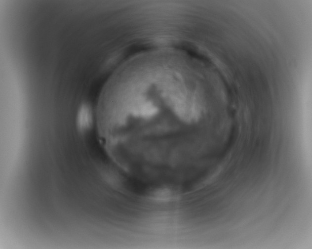 X0000113860075200910011030
