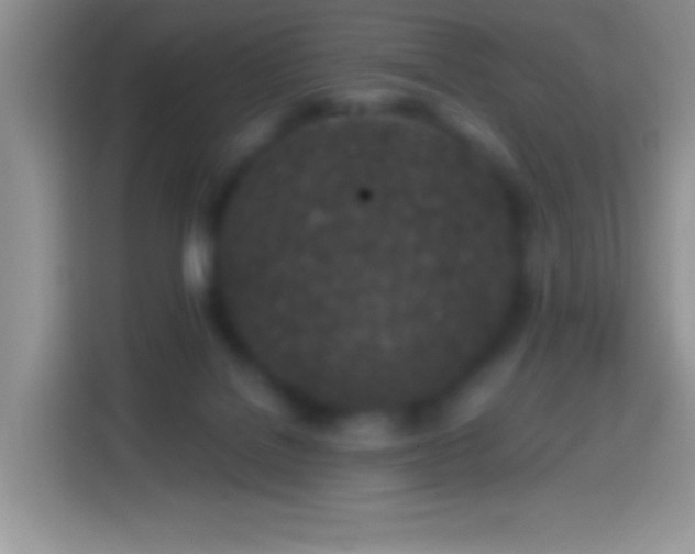 X0000113860076200910011030