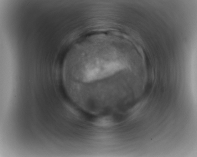 X0000113860078200910011030