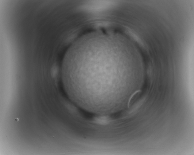 X0000113860079200910011030