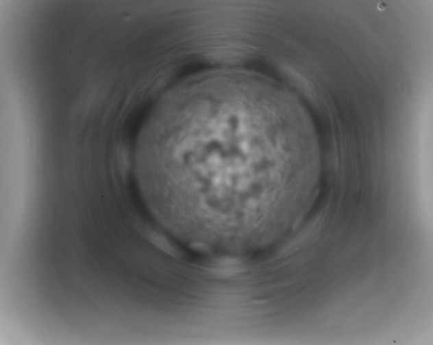 X0000113860081200910011030