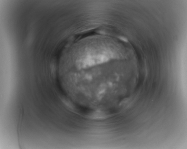 X0000113860082200910011030