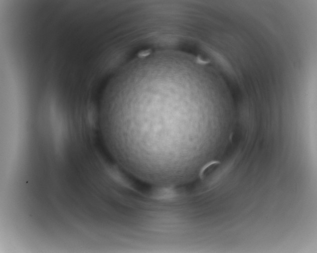 X0000113860083200910011030