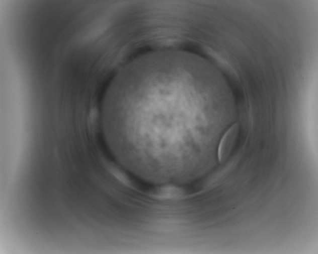 X0000113860087200910011030