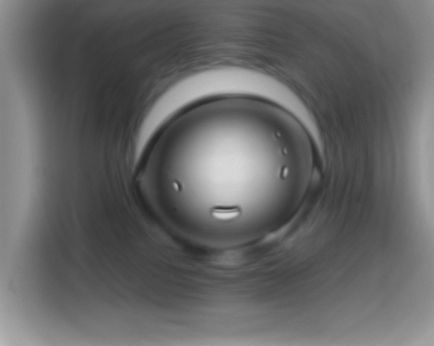 X0000113860088200910011030