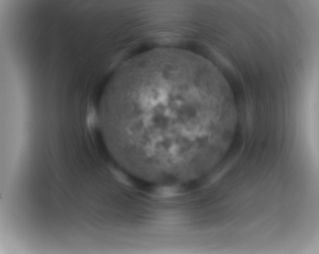 X0000113860089200910011030