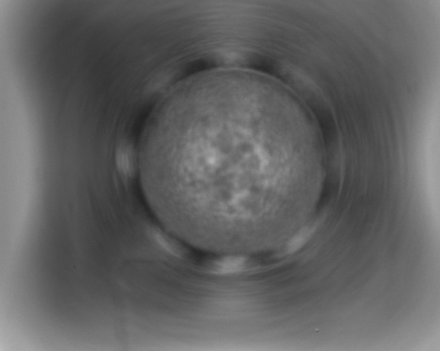 X0000113860090200910011030