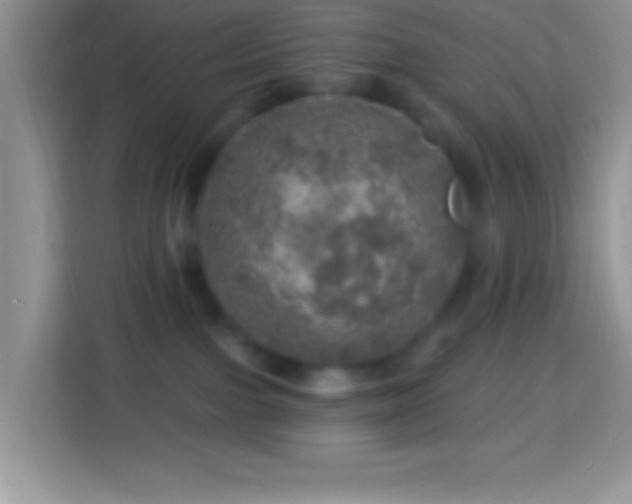 X0000113860091200910011030