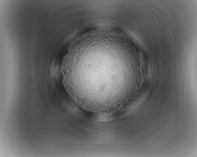 X0000113860093200910011030