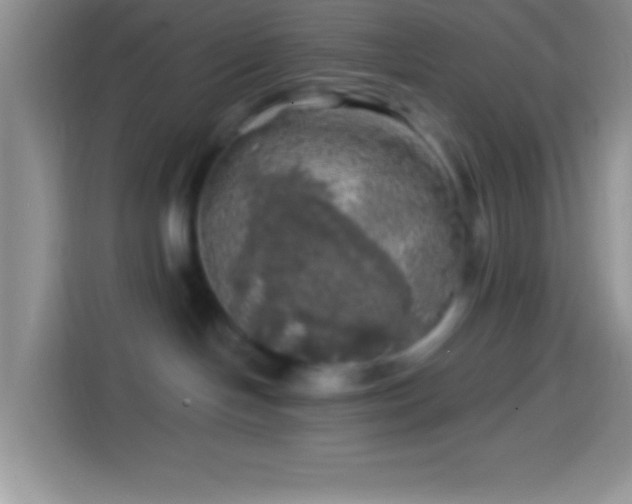 X0000113860094200910011030