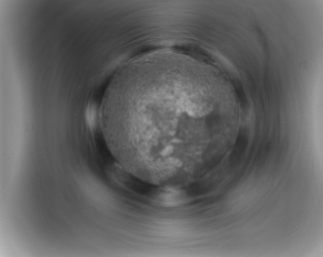 X0000113860095200910011030