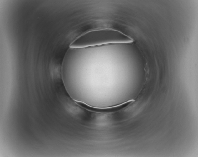 X0000113860096200910011030
