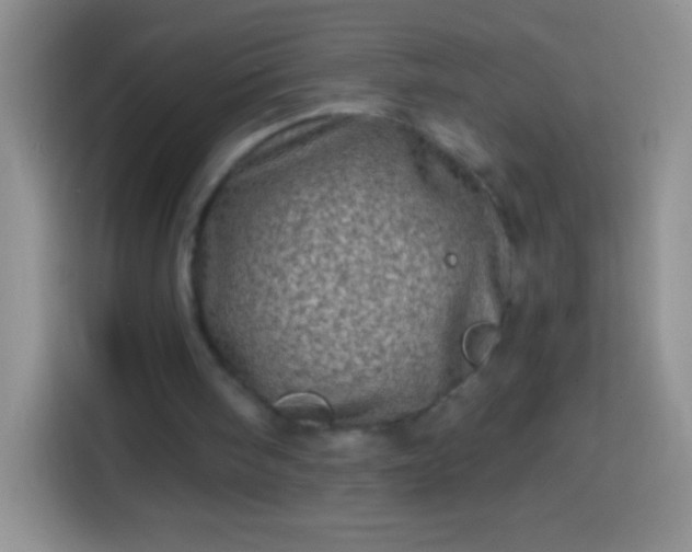X0000113860098200910011029