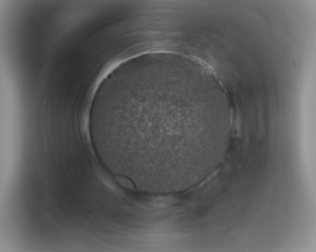 X0000113860099200910011029