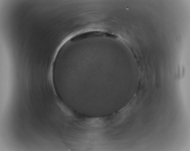 X0000113860100200910011029