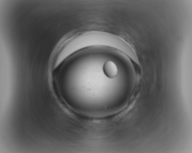 X0000113860101200910011029