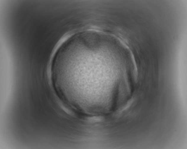 X0000113860102200910011029