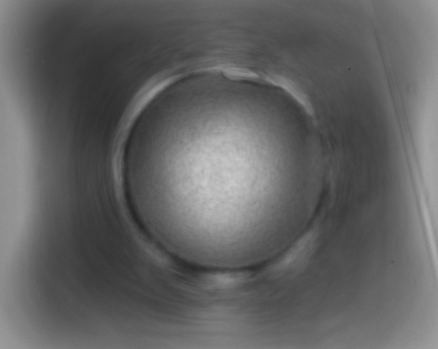 X0000113860103200910011029