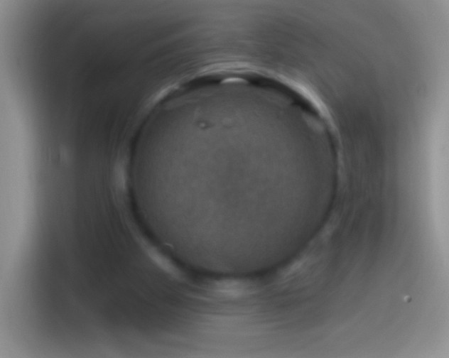 X0000113860105200910011029