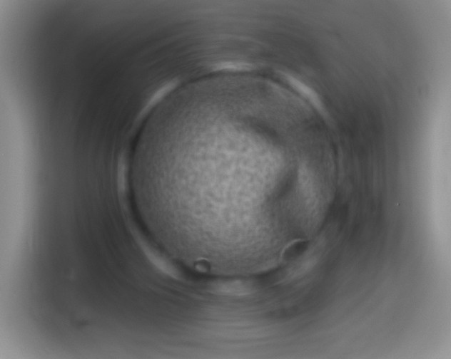 X0000113860106200910011029