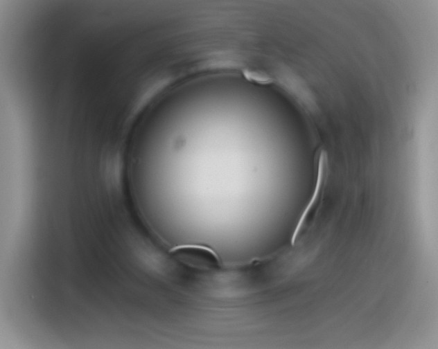 X0000113860108200910011029