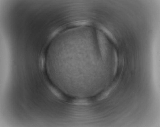 X0000113860110200910011029