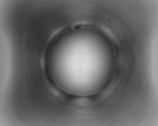 X0000113860112200910011029
