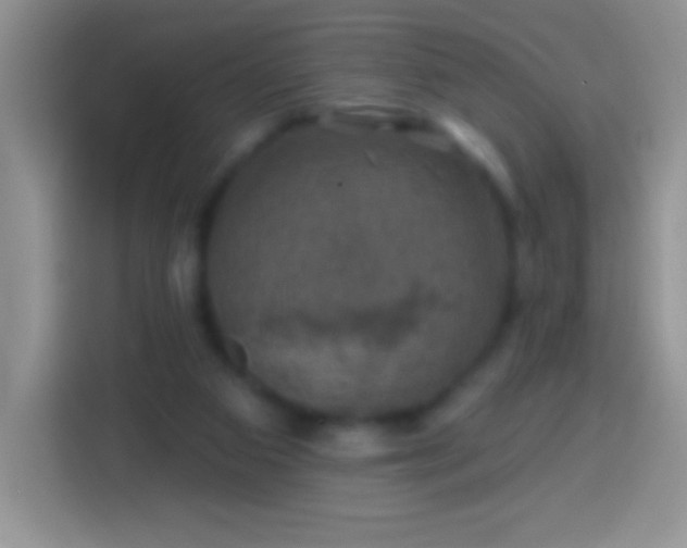 X0000113860113200910011029