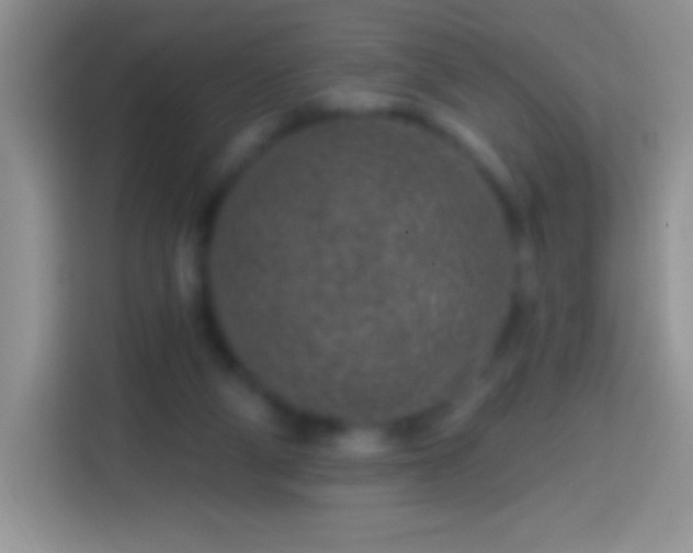X0000113860114200910011029