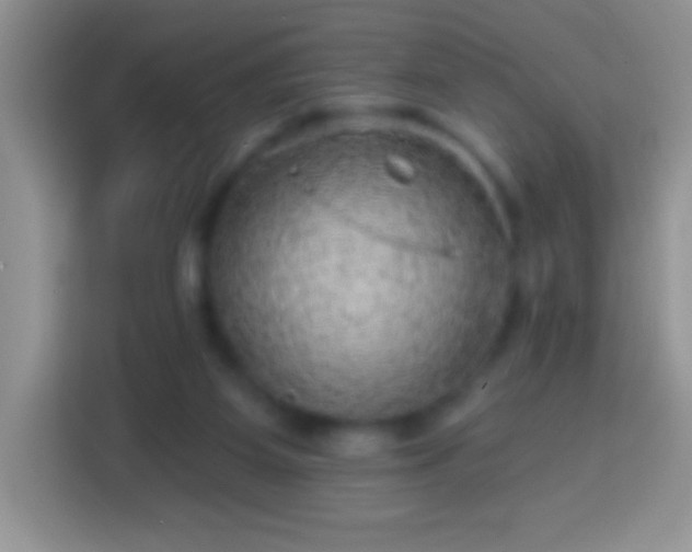 X0000113860115200910011029