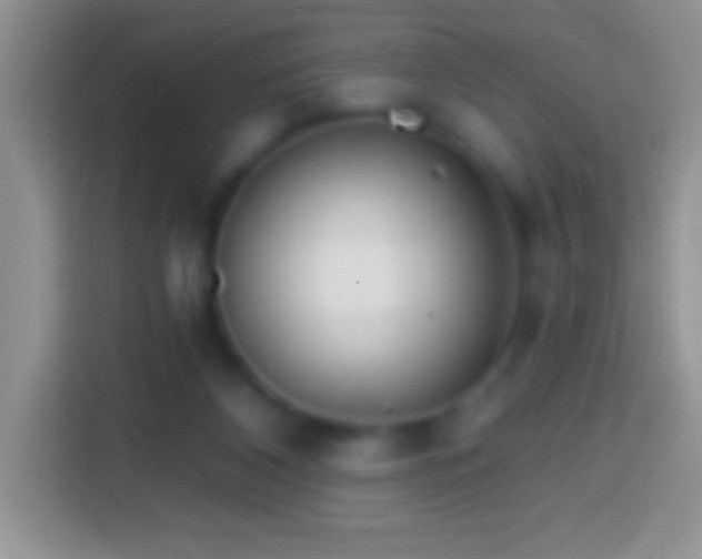 X0000113860116200910011029