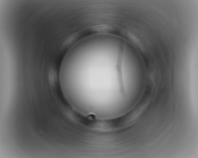 X0000113860117200910011029