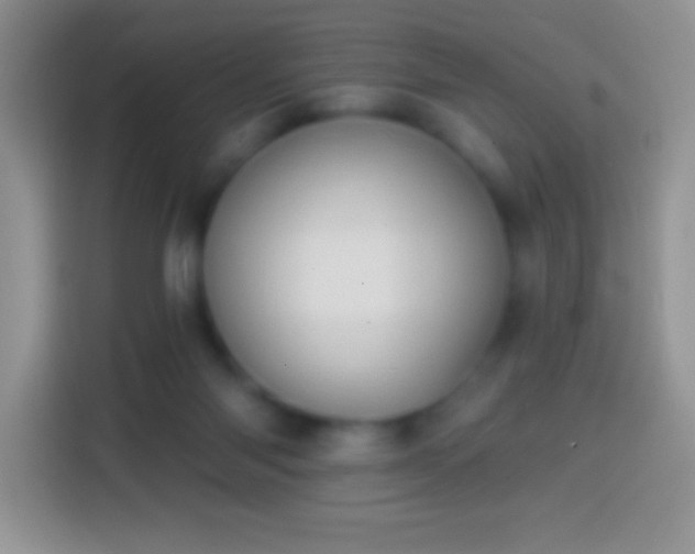 X0000113860118200910011029