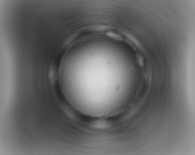 X0000113860119200910011029