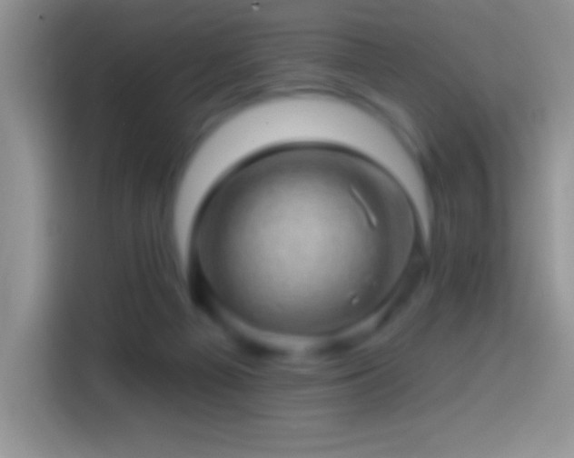 X0000113860121200910011029