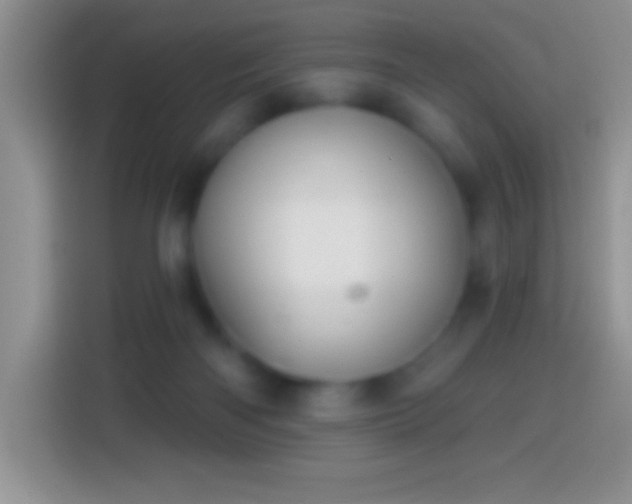 X0000113860122200910011029