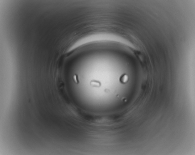 X0000113860125200910011029