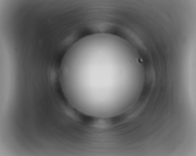 X0000113860126200910011029