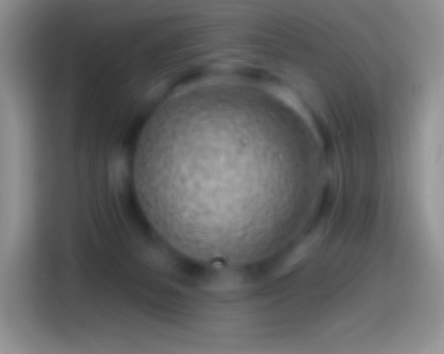 X0000113860127200910011029