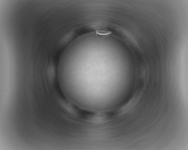 X0000113860128200910011029