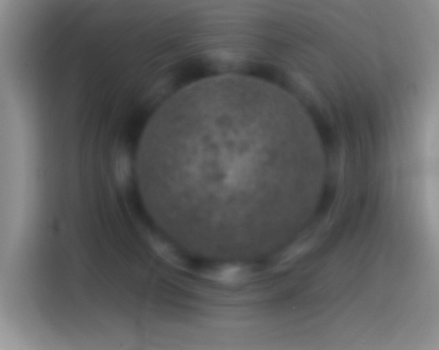 X0000113860130200910011029